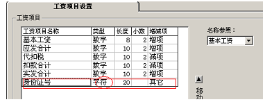 工资项目设置字符