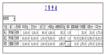 新的工资类别的数据查询